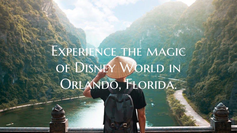 Experience the magic of Disney World in Orlando, Florida.