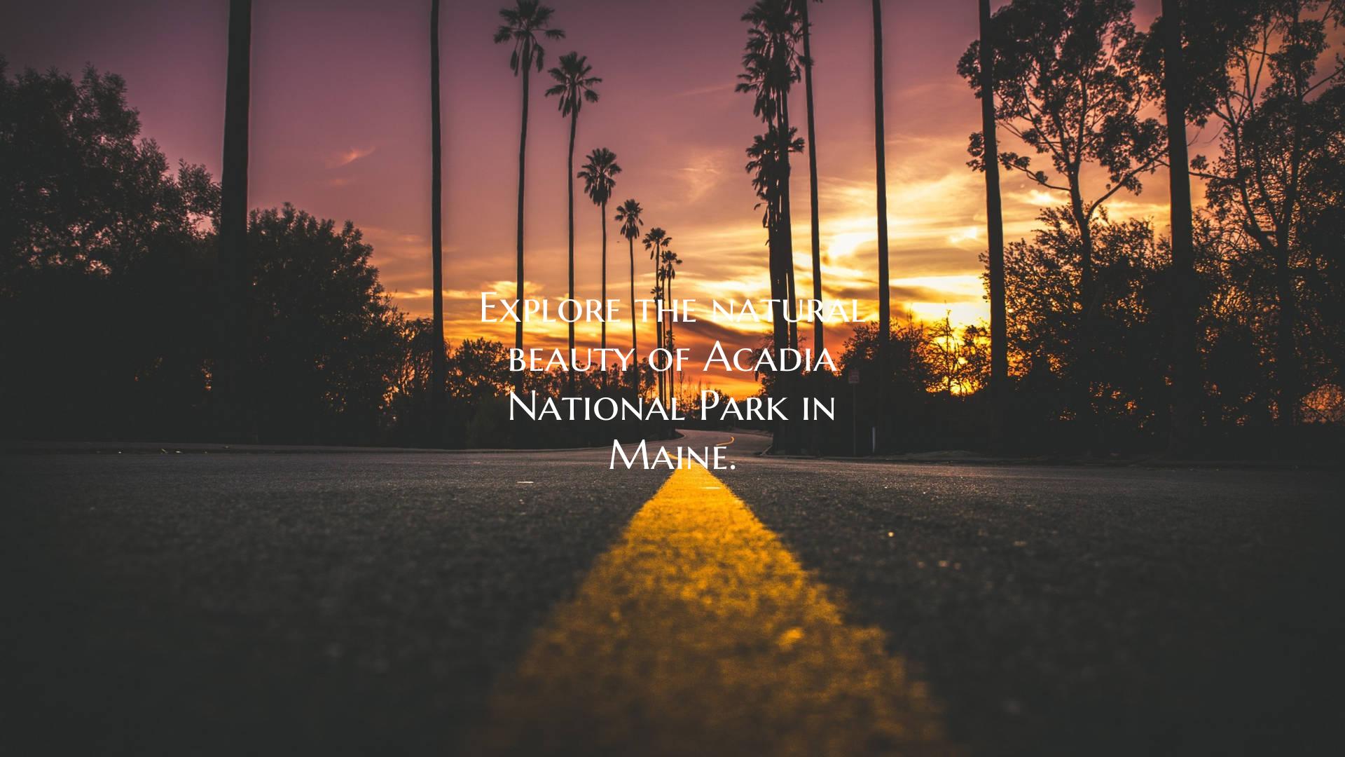 Explore the natural beauty of Acadia National Park in Maine.